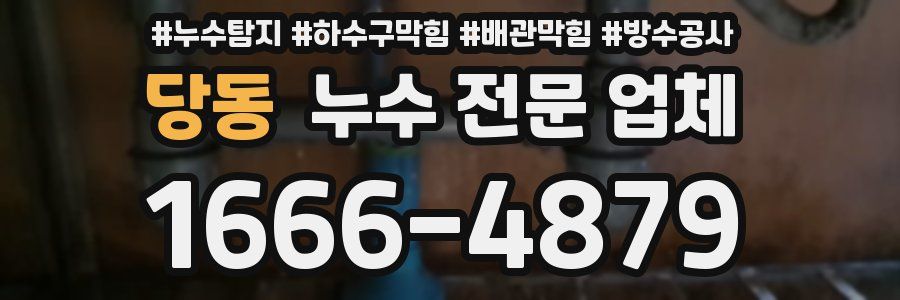 당동 누수 전문 업체