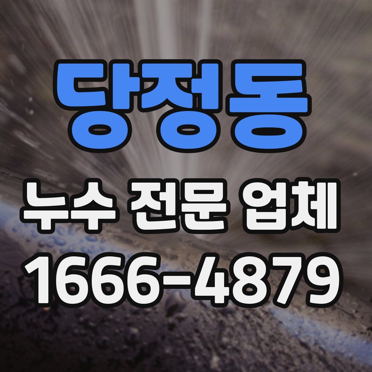 당정동 누수 전문 업체