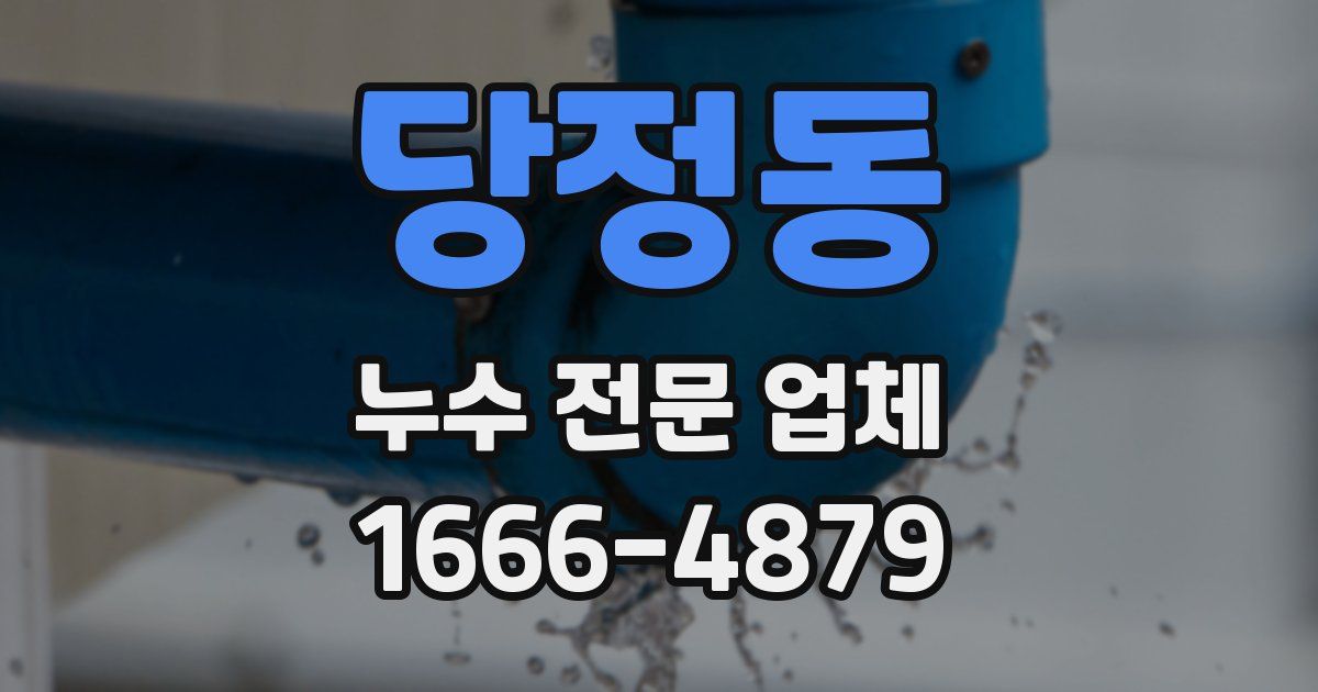 당정동 누수 전문 업체