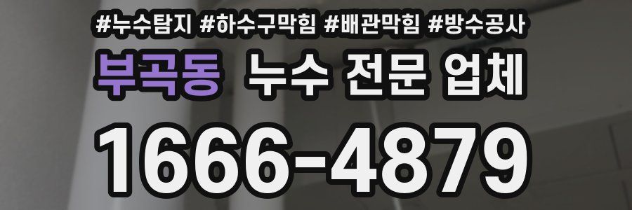 부곡동 누수 전문 업체