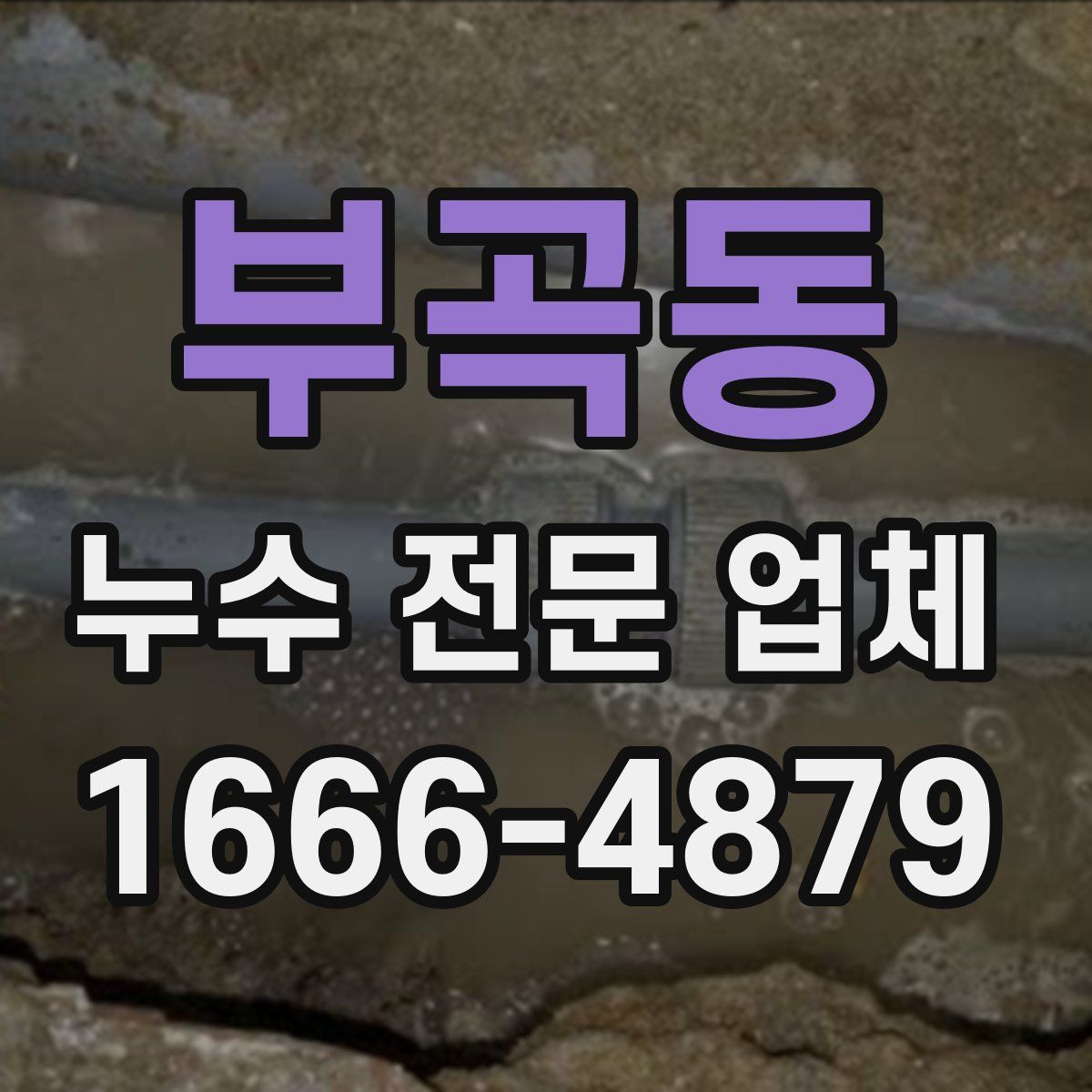 부곡동 누수 전문 업체