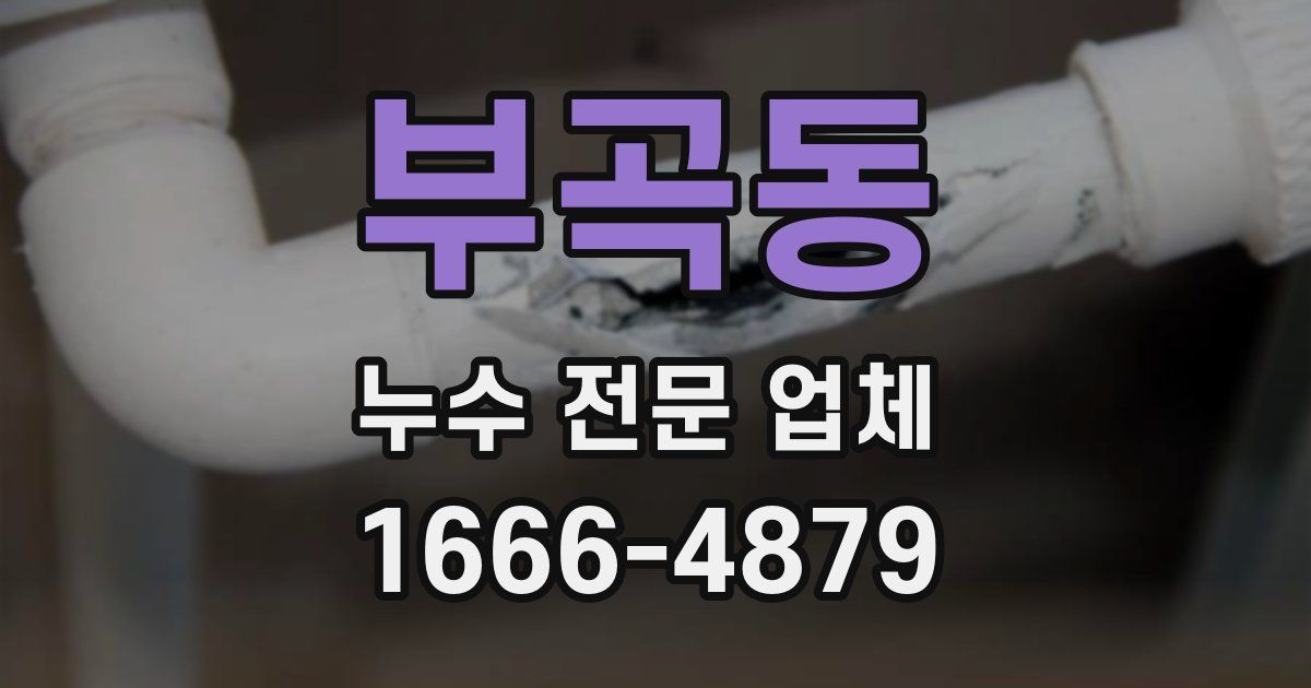 부곡동 누수 전문 업체