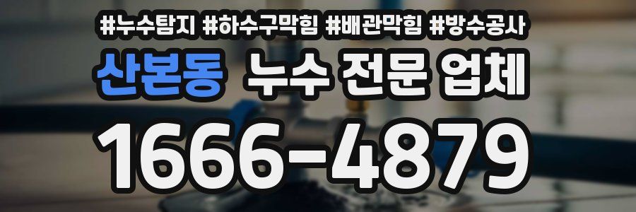 산본동 누수 전문 업체