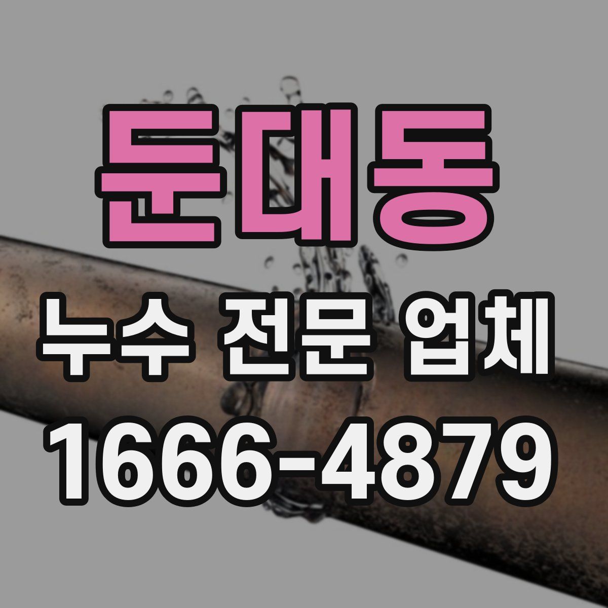 둔대동 누수 전문 업체