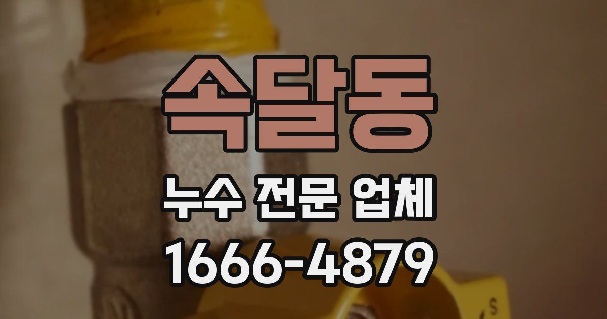 속달동 누수 전문 업체