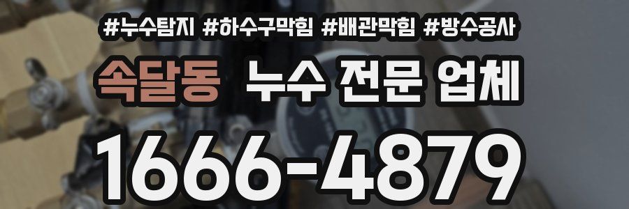 속달동 누수 전문 업체