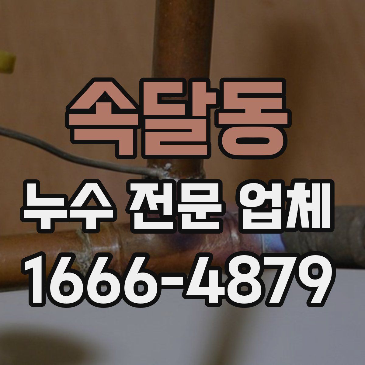 속달동 누수 전문 업체