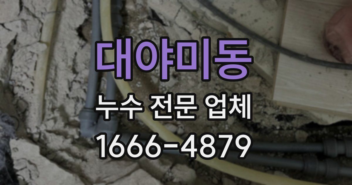 대야미동 누수 전문 업체