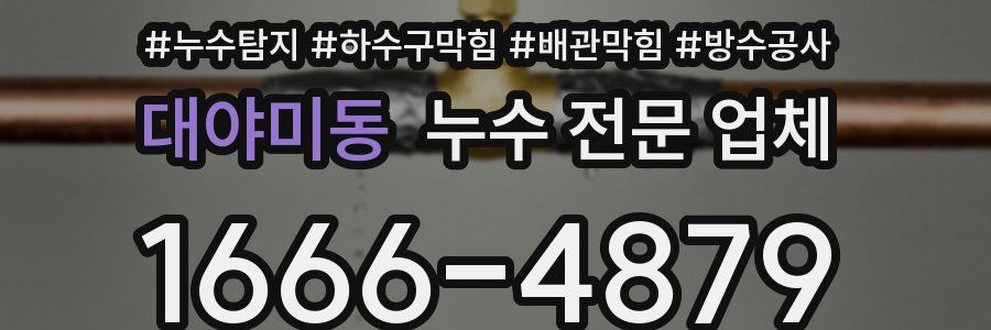 대야미동 누수 전문 업체