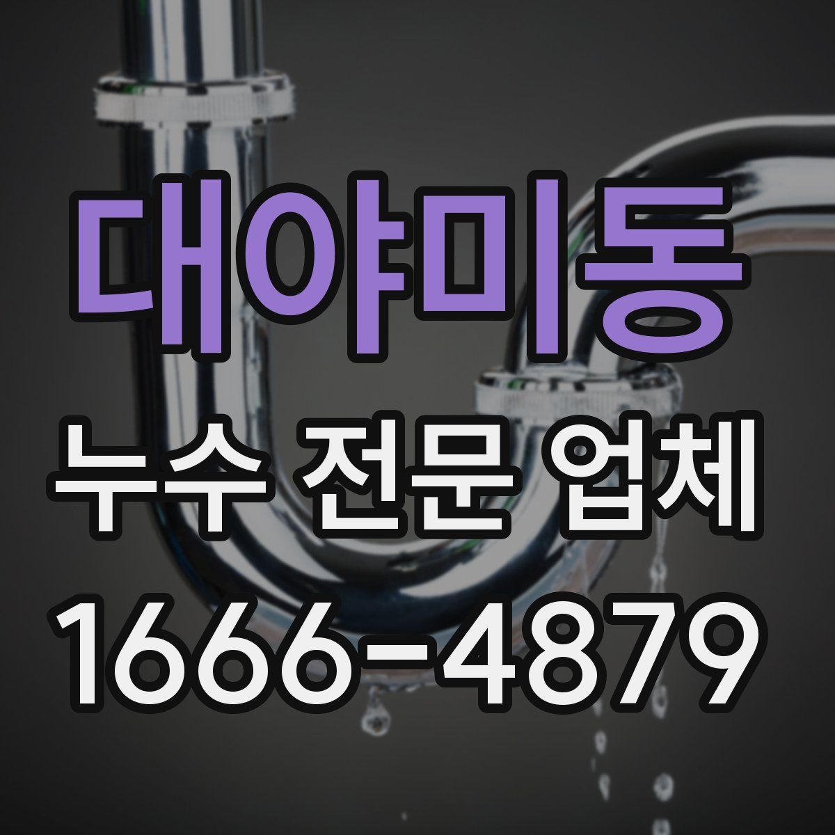 대야미동 누수 전문 업체