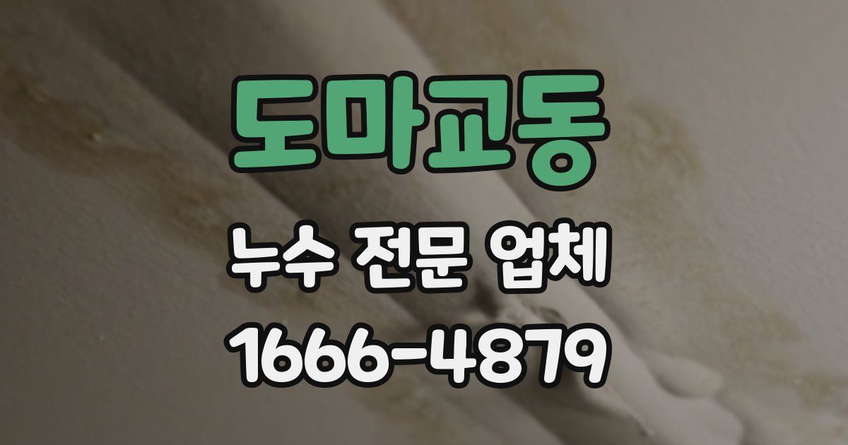 도마교동 누수 전문 업체