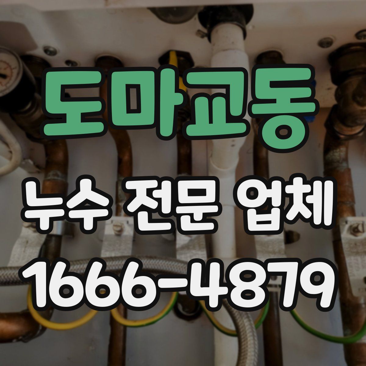 도마교동 누수 전문 업체