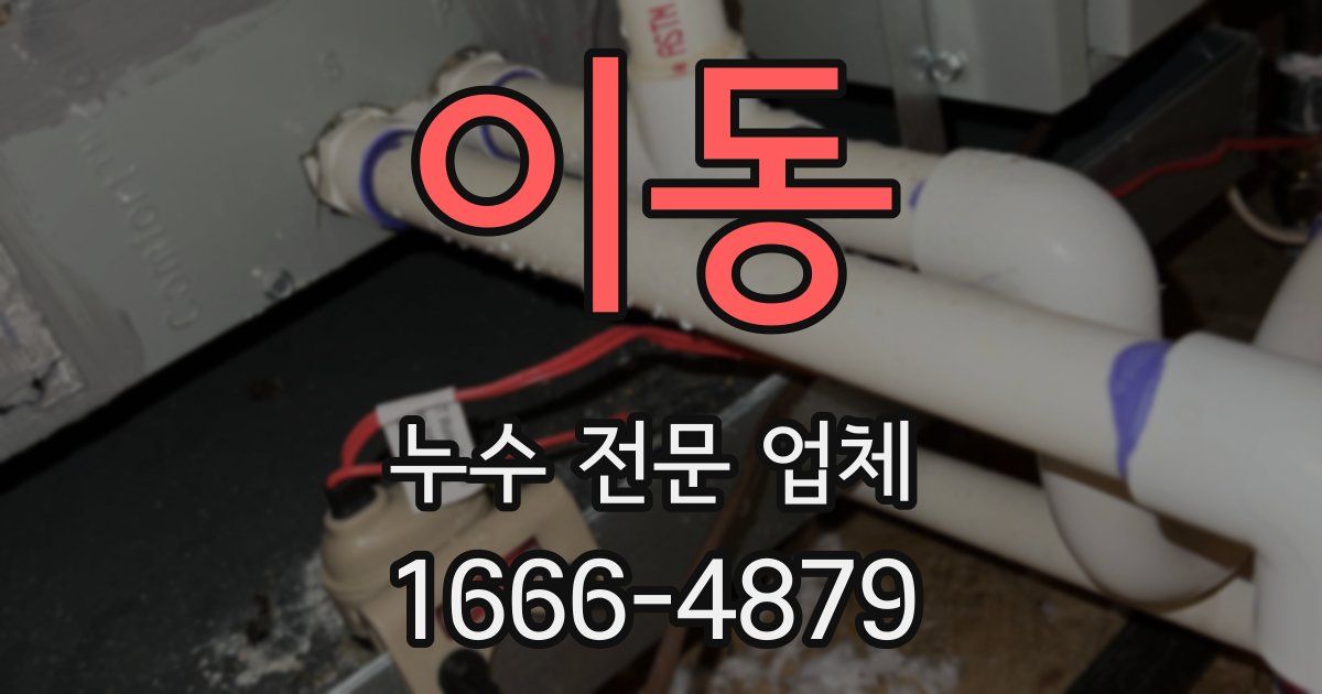 이동 누수 전문 업체