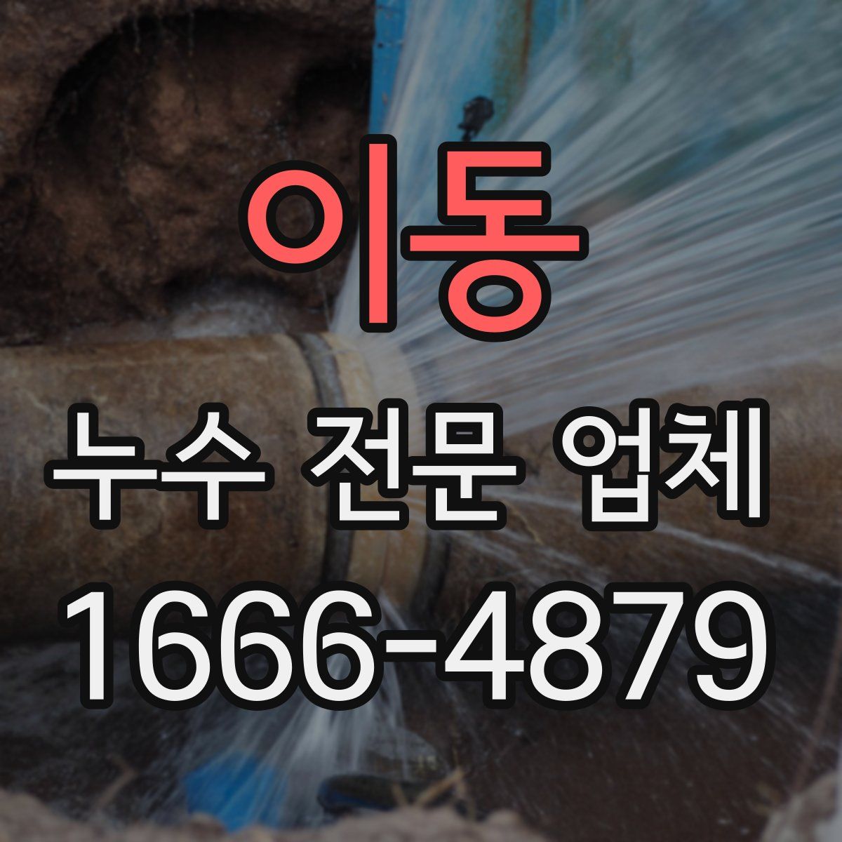 이동 누수 전문 업체