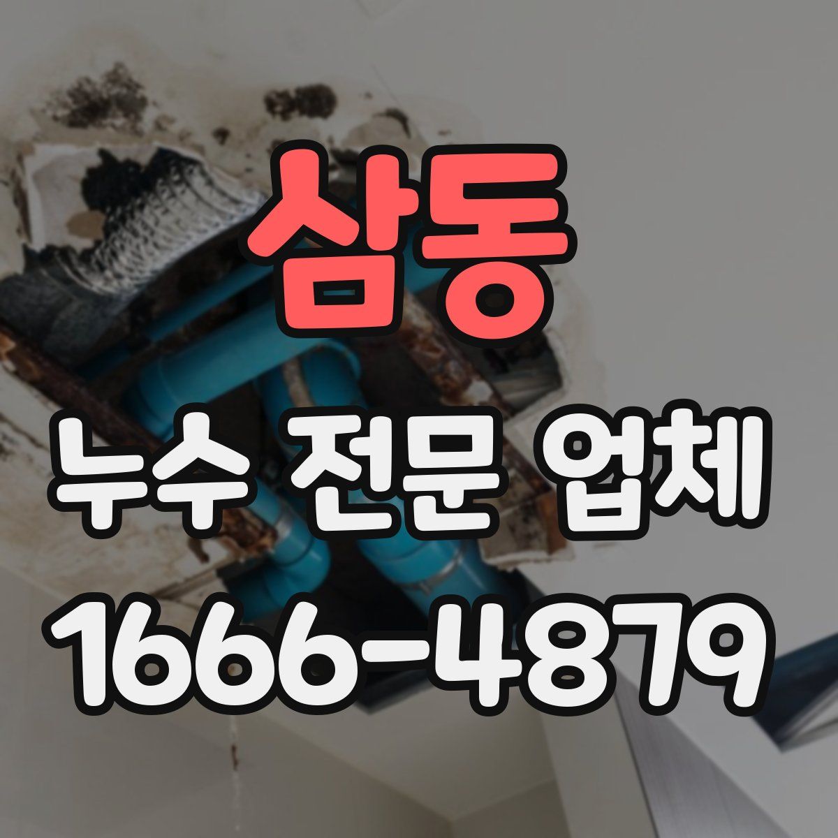 삼동 누수 전문 업체
