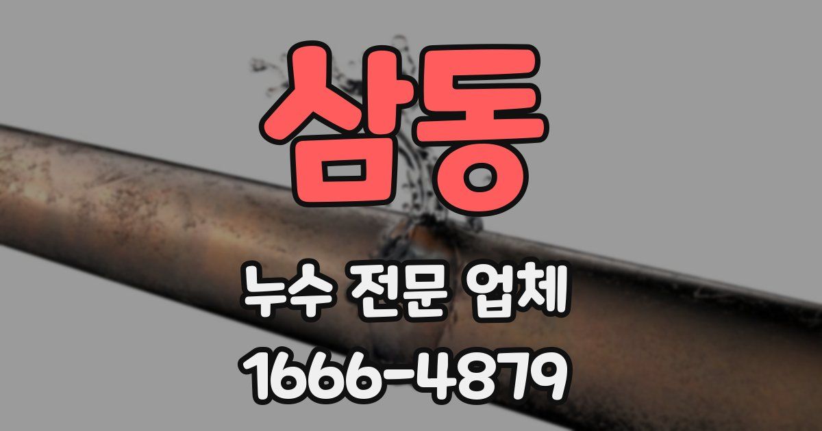 삼동 누수 전문 업체