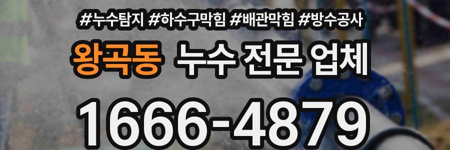 왕곡동 누수 전문 업체