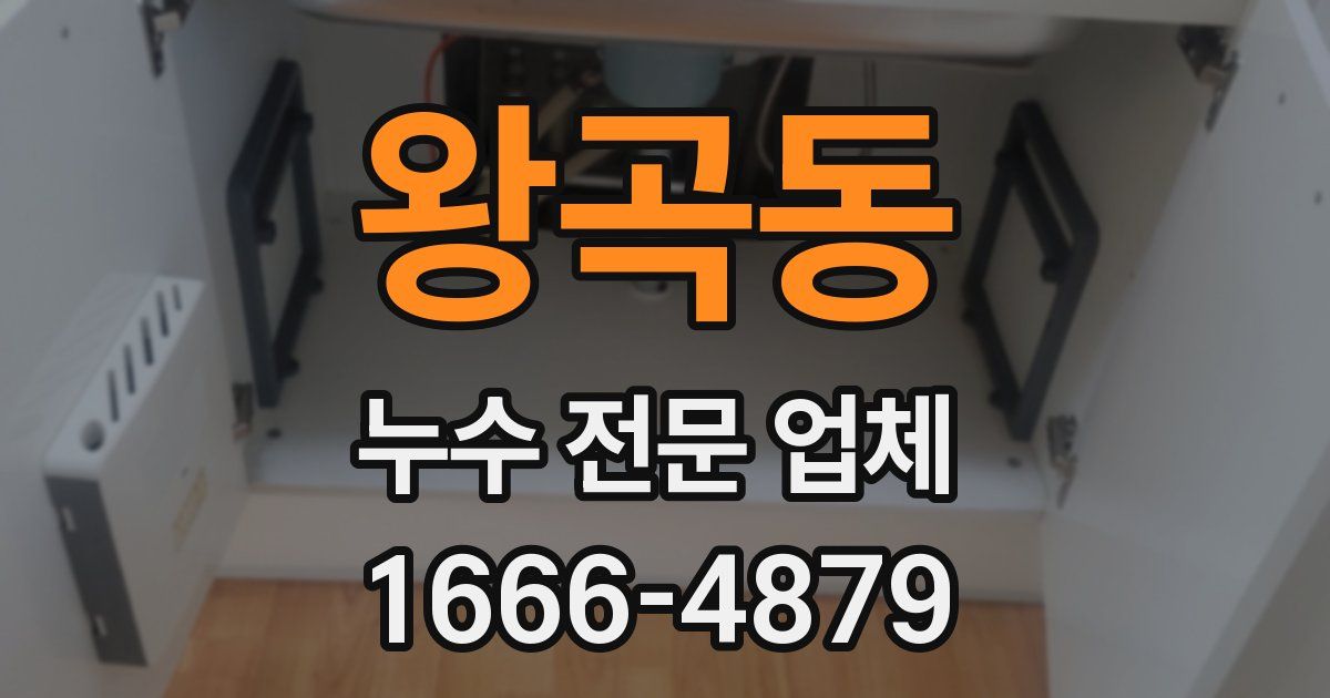 왕곡동 누수 전문 업체