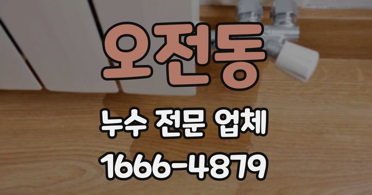 오전동 누수 전문 업체
