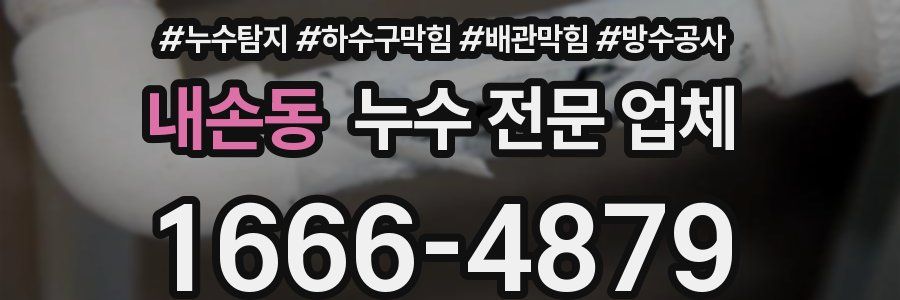 내손동 누수 전문 업체