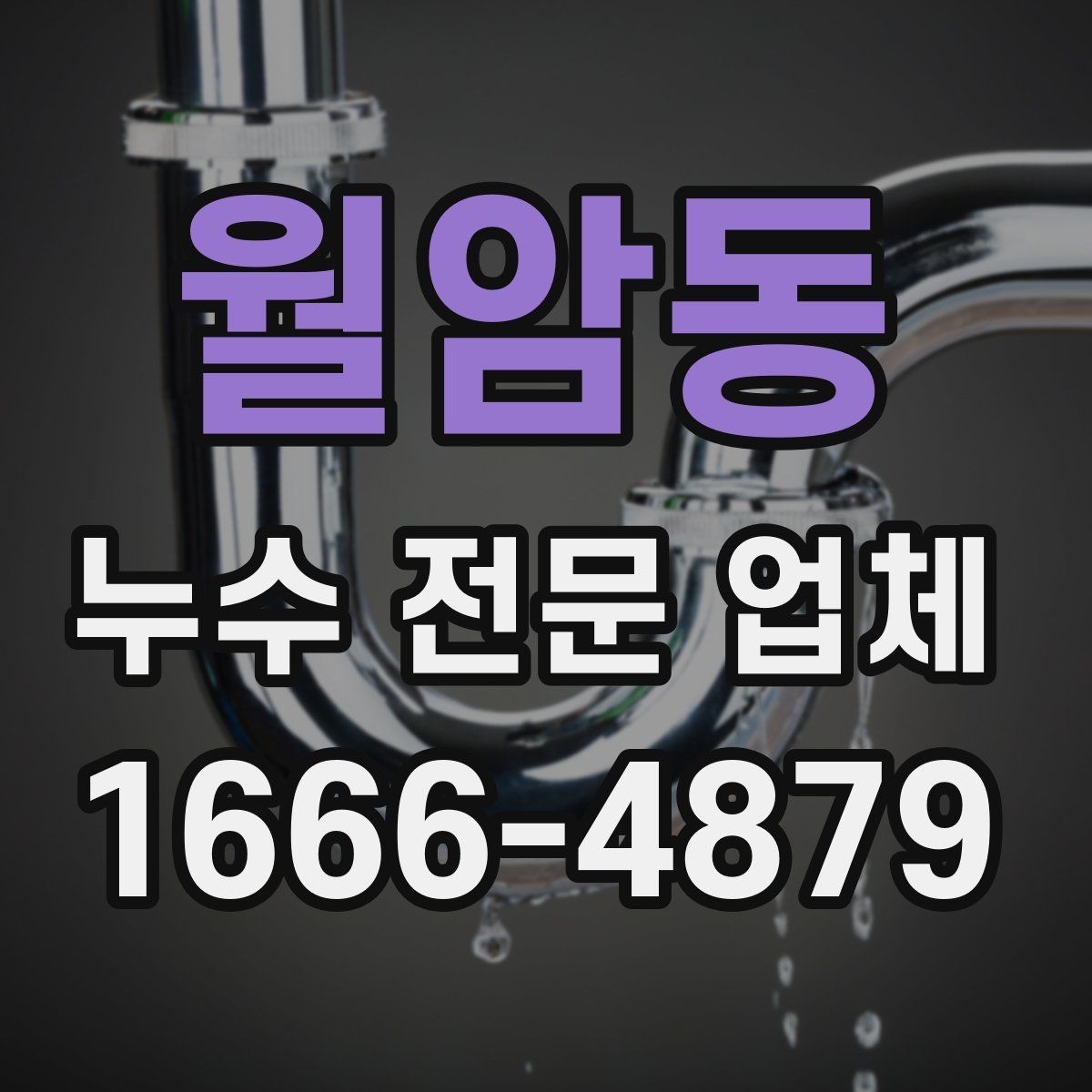 월암동 누수 전문 업체