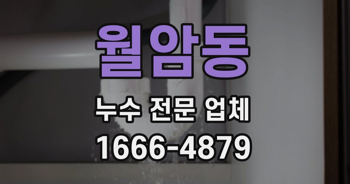 월암동 누수 전문 업체