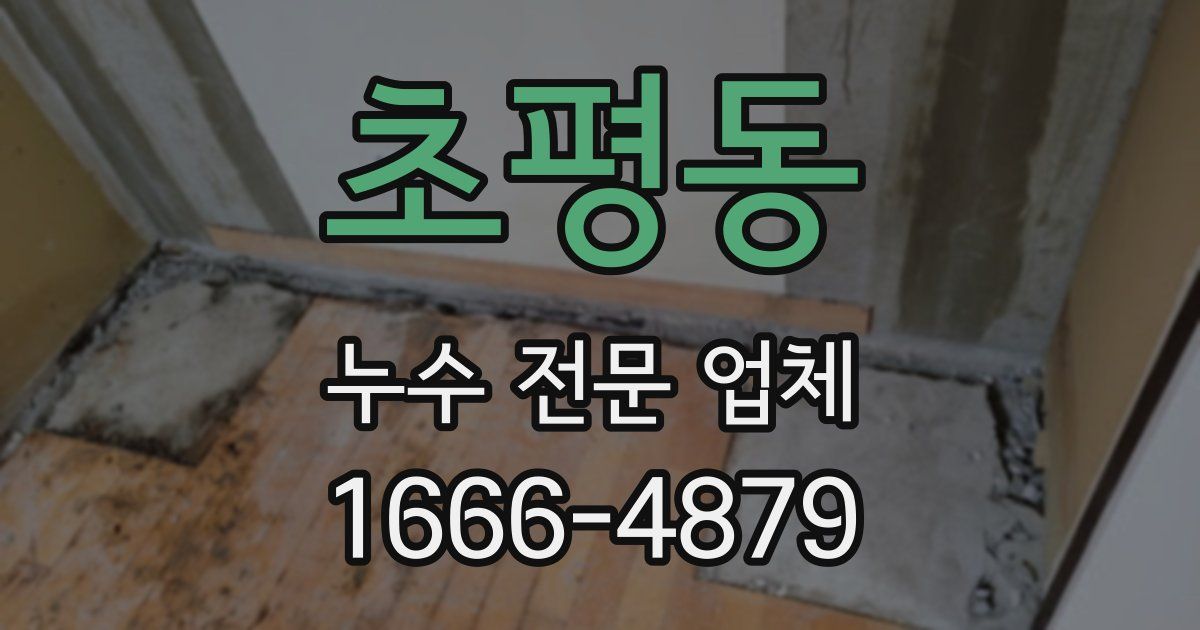 초평동 누수 전문 업체