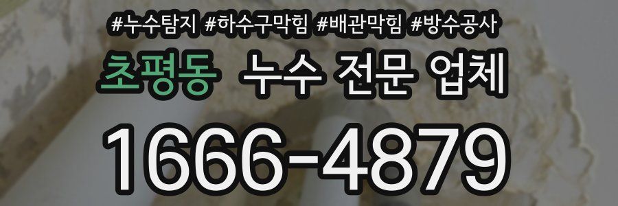 초평동 누수 전문 업체