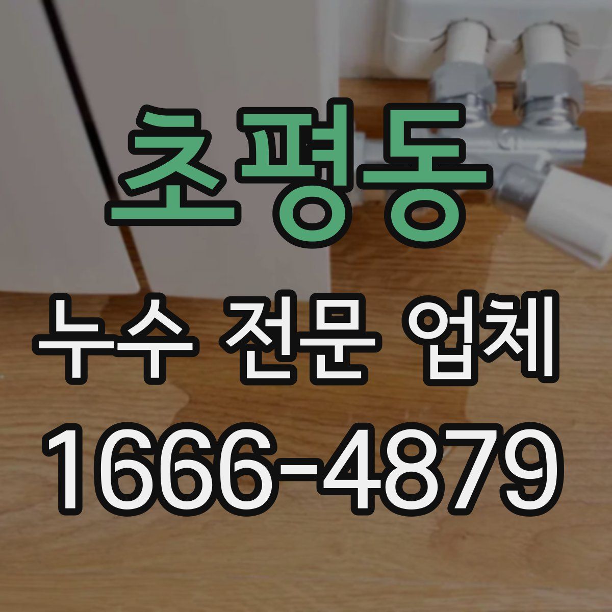 초평동 누수 전문 업체