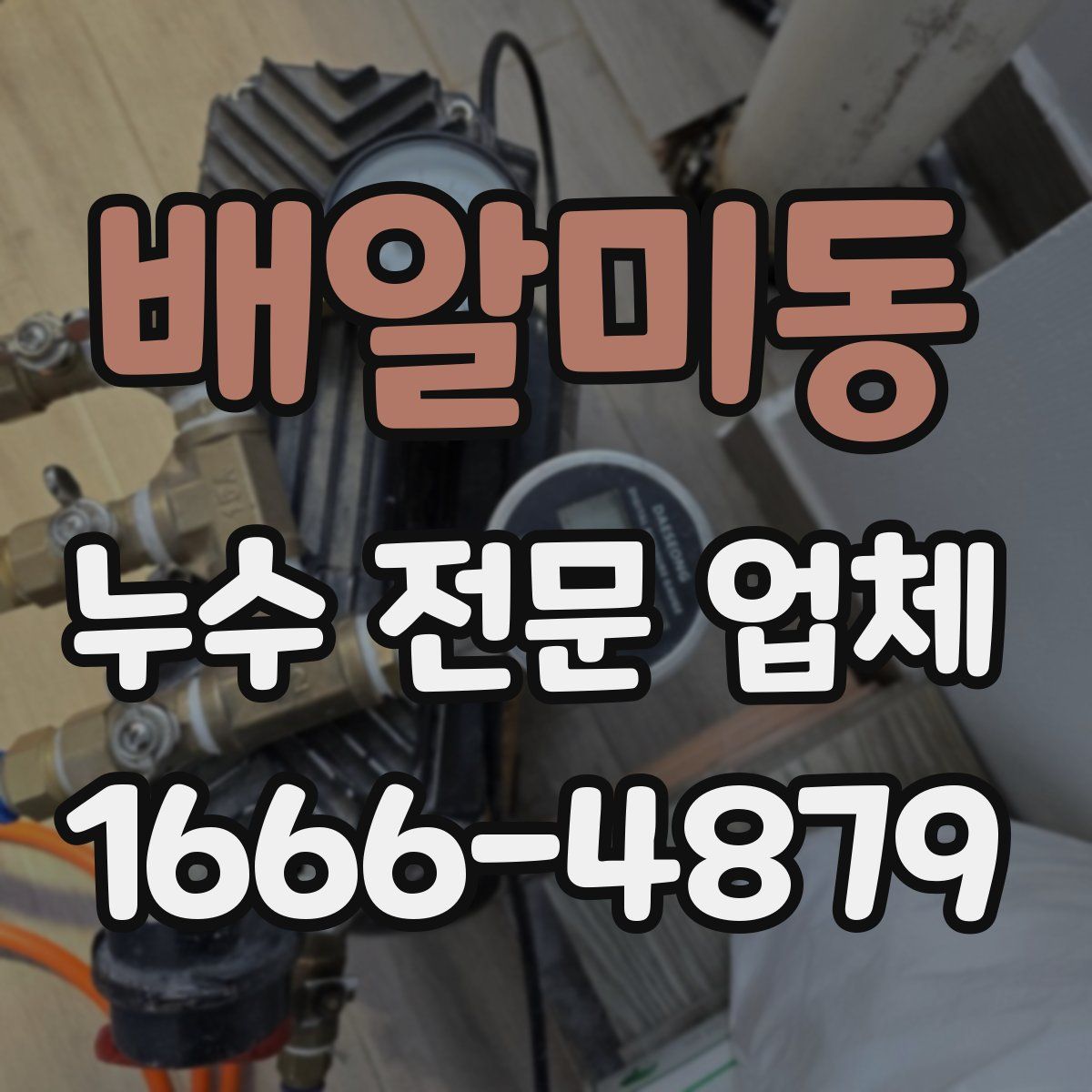 배알미동 누수 전문 업체