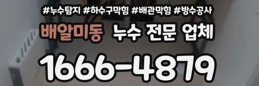 배알미동 누수 전문 업체