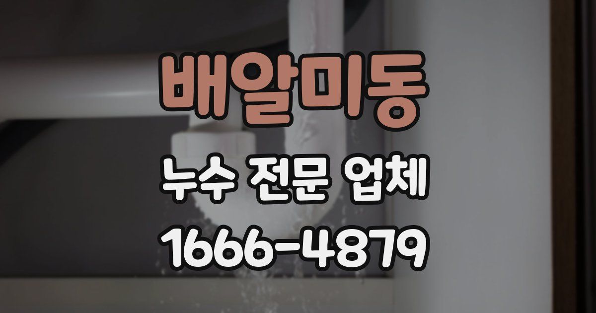 배알미동 누수 전문 업체