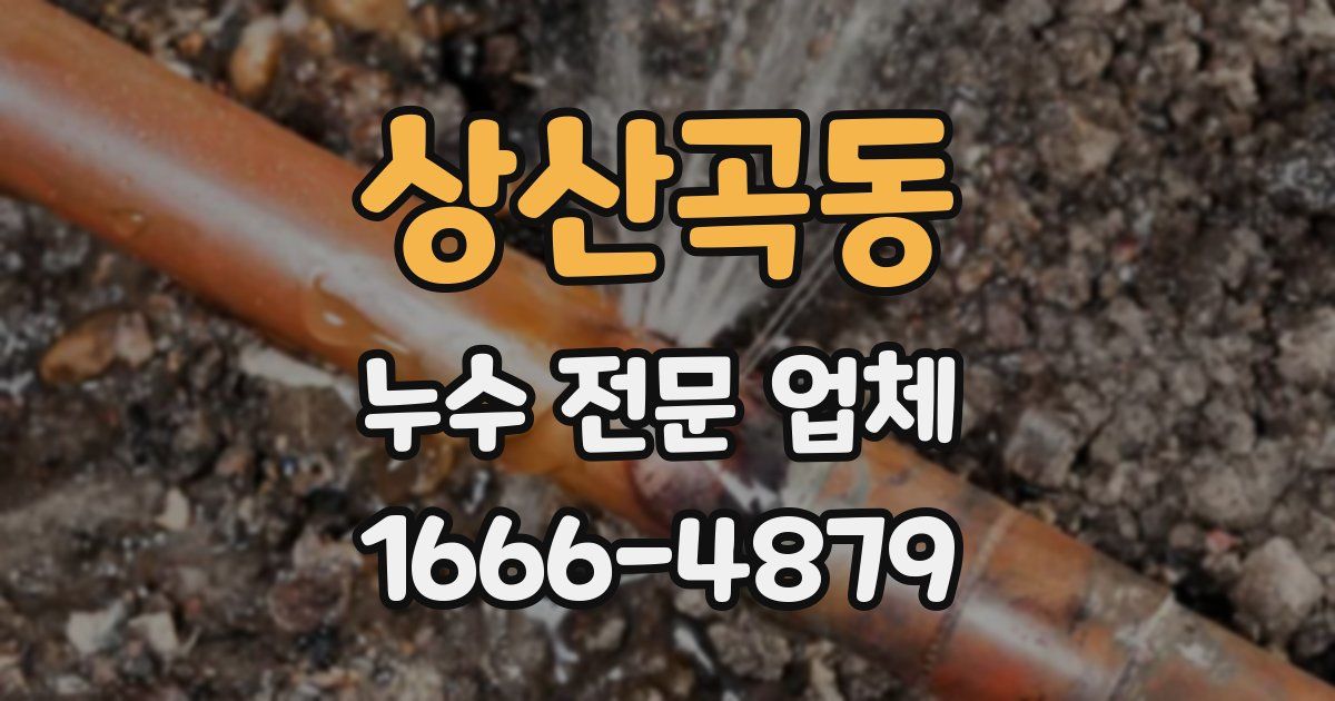 상산곡동 누수 전문 업체