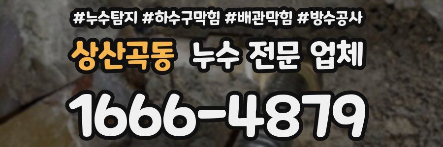 상산곡동 누수 전문 업체