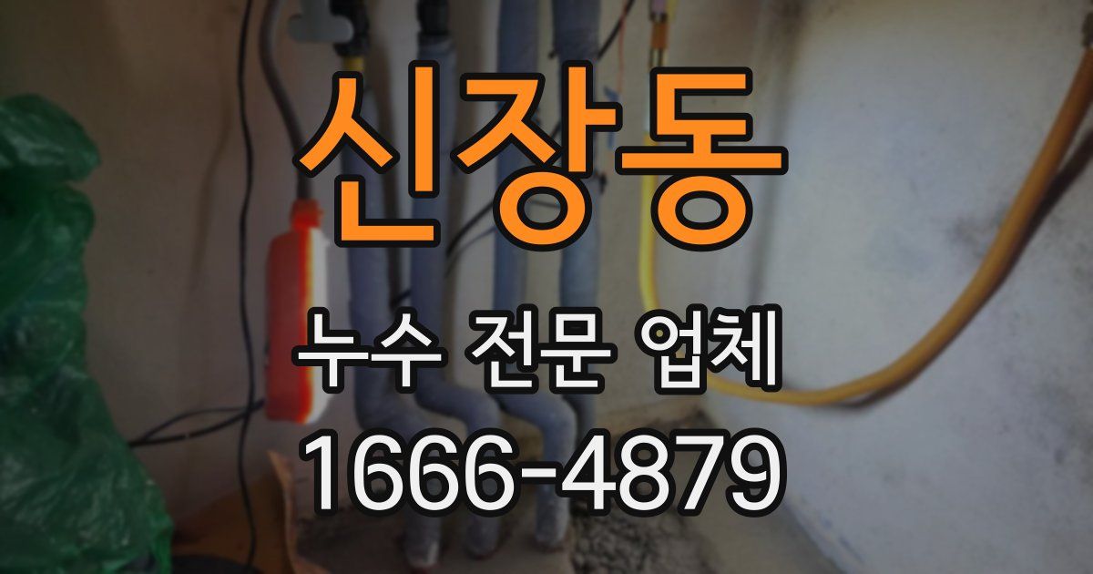 신장동 누수 전문 업체