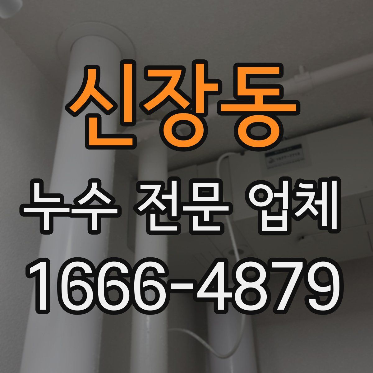 신장동 누수 전문 업체
