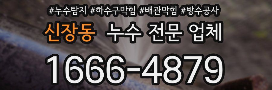 신장동 누수 전문 업체