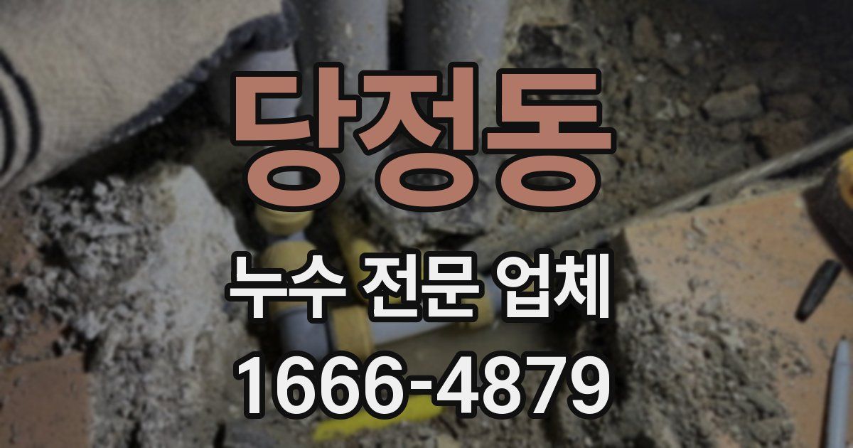 당정동 누수 전문 업체
