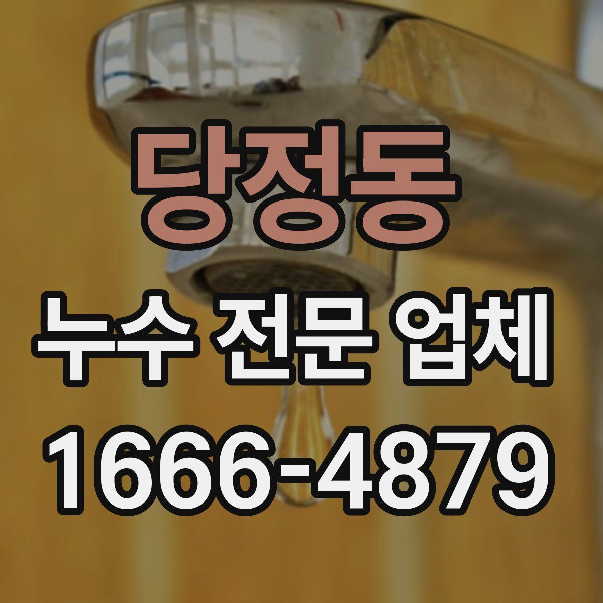 당정동 누수 전문 업체