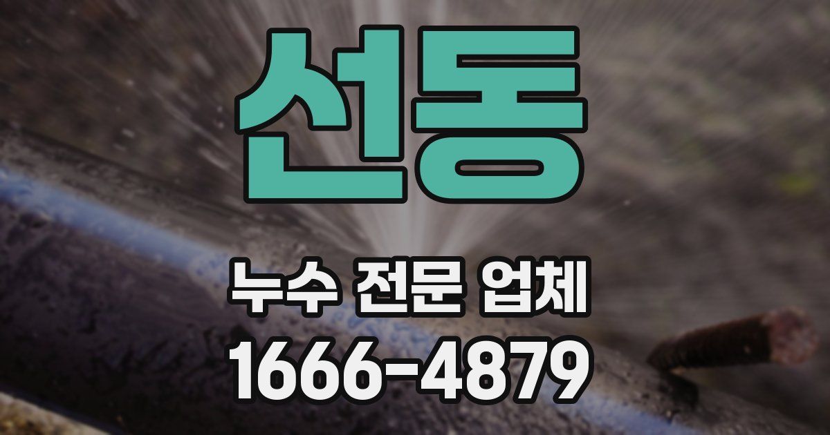 선동 누수 전문 업체