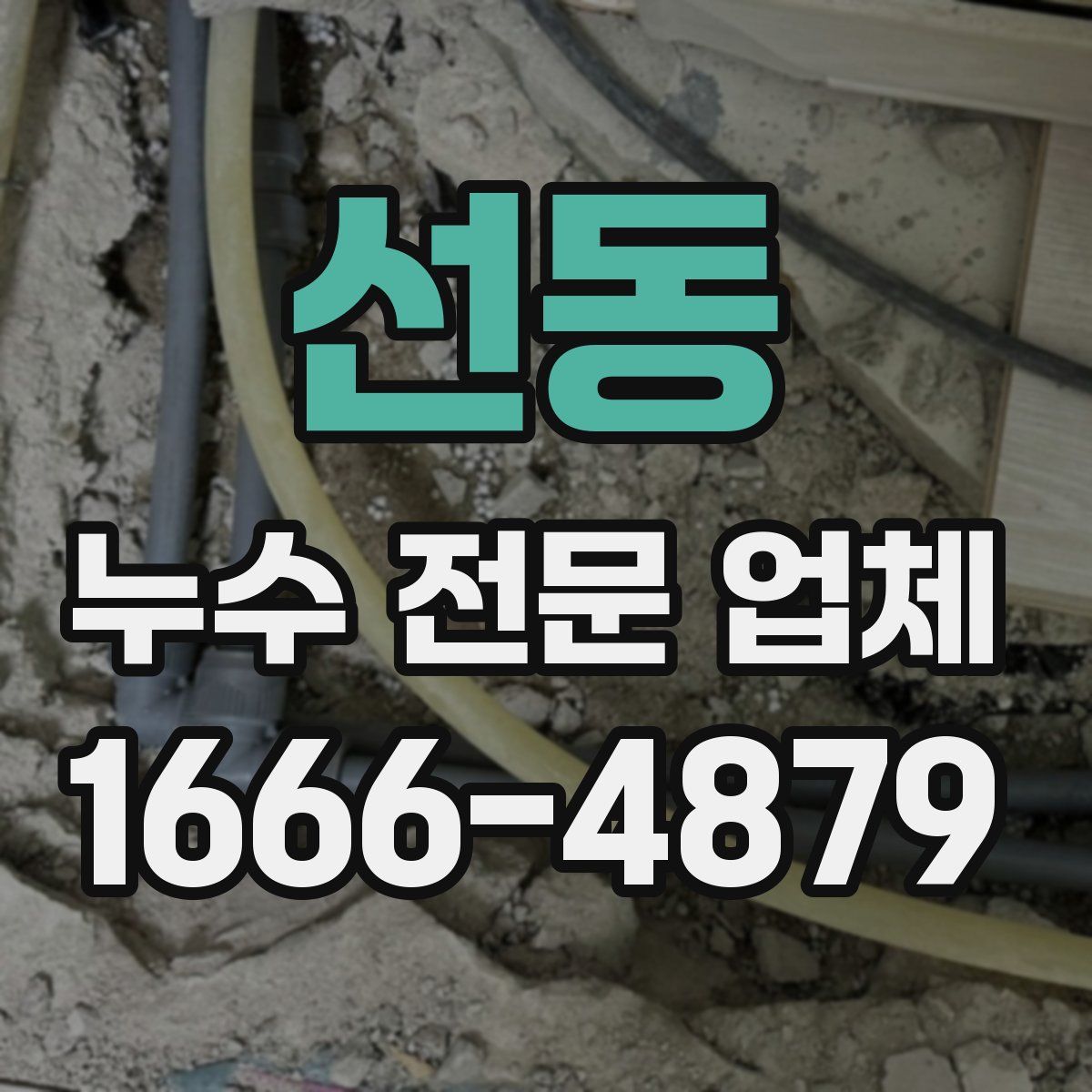 선동 누수 전문 업체