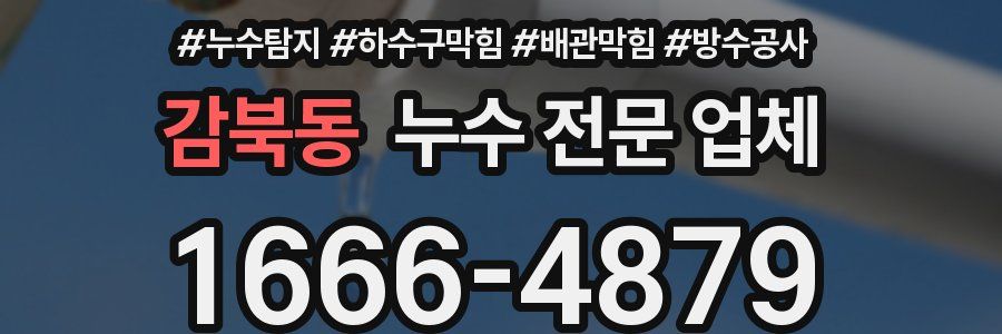 감북동 누수 전문 업체