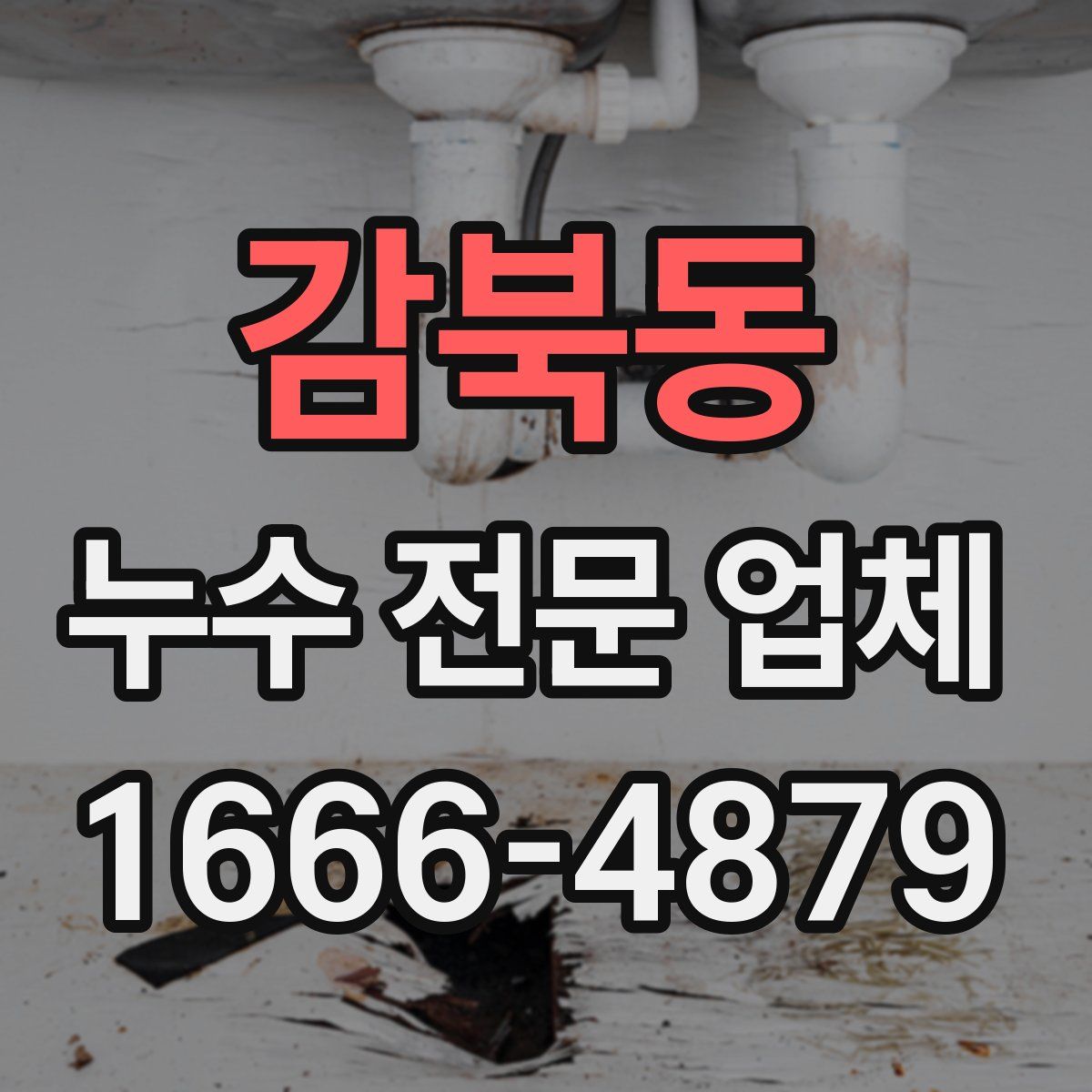 감북동 누수 전문 업체