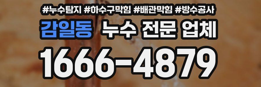 감일동 누수 전문 업체
