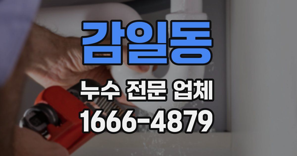 감일동 누수 전문 업체