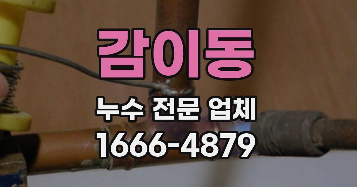 감이동 누수 전문 업체