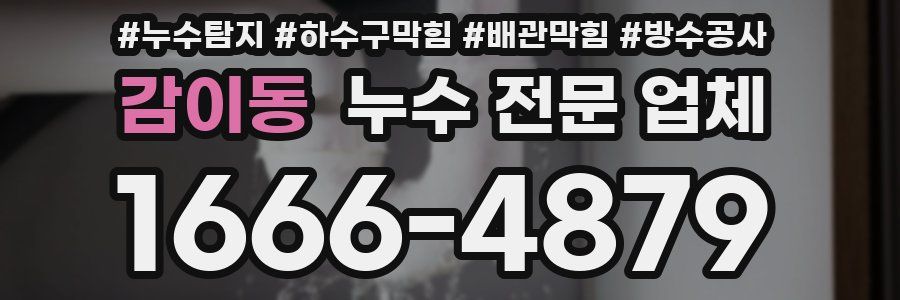 감이동 누수 전문 업체