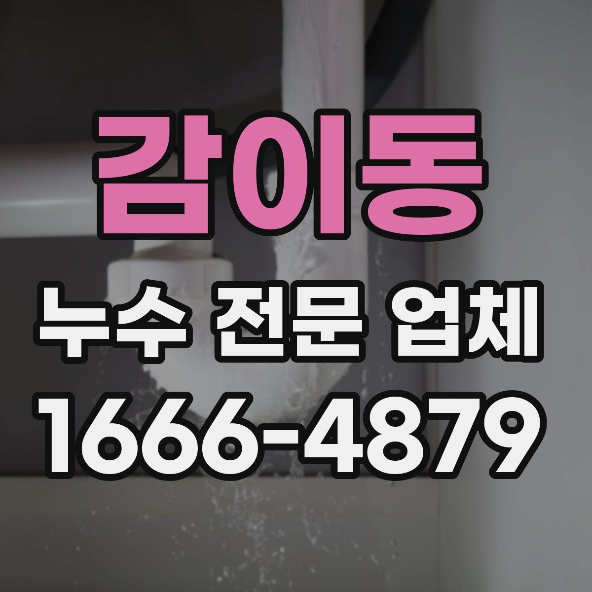 감이동 누수 전문 업체