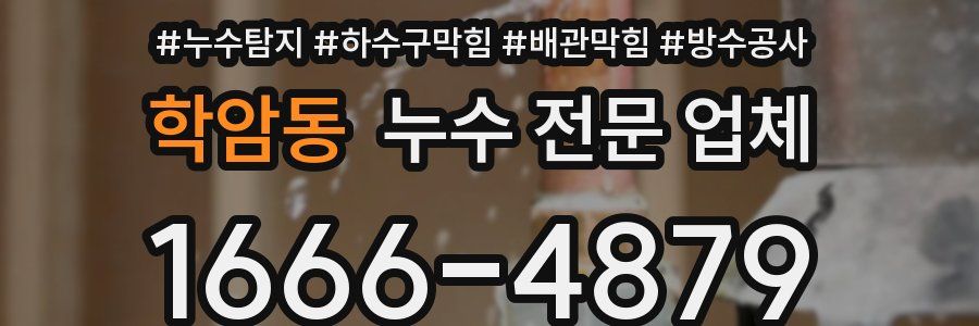 학암동 누수 전문 업체