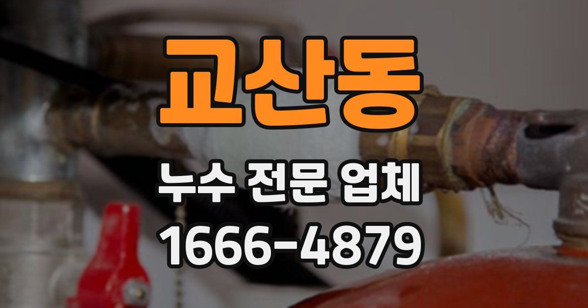 교산동 누수 전문 업체